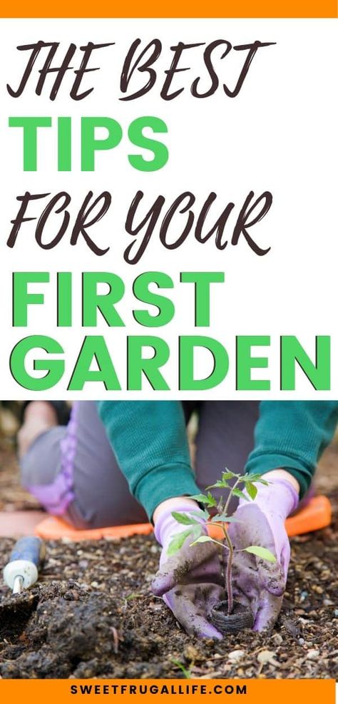 Beginner Garden, Garden Diy Decoration Ideas, Garden Diy Hacks, Positive Quotes For Life Encouragement, Gardening Inside, Diy Container, First Garden, Beginner Gardening, Vegetables To Grow