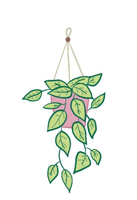 This is in the process of being turned into a sticker Hanging Pot Drawing, Plant Pot Drawing, Plant Illustration Simple, Potted Plant Drawing, House Plant Drawing, Hanging Plant Drawing, Drawing Of Hanging Plants, Hanging Plant Drawing Simple, Hanging Plants Drawing Doodles