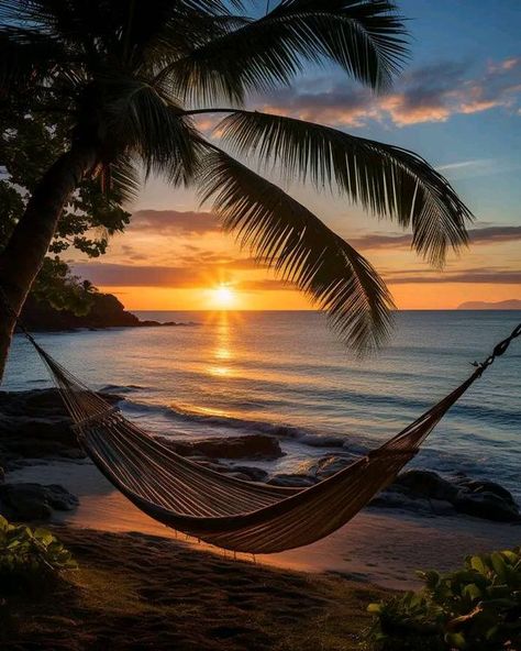 Hammock Aesthetic, Morning At The Beach, Beach Wallpaper Iphone, Beach Hammock, Couple Getaway, British Virgin Islands, Best Resorts, Island Resort, Beautiful Morning