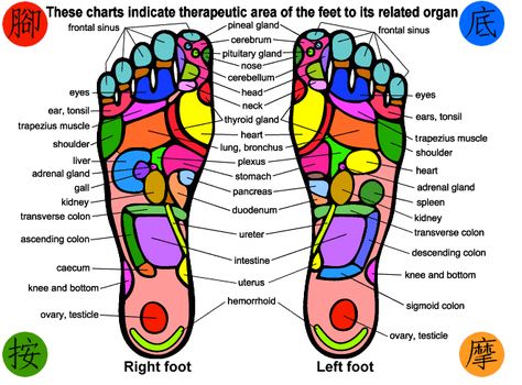 Print Your Own Foot Massage Chart. These charts indicate therapeutic area of the feet to its related organs. By stimulating one or a combination of areas, you will in turn be massaging the corresponding body muscles and organs.  Foot massages are a simple and effective way to better health. According to Chinese Medicine, the foot is, Foot Massage Chart, Ear Reflexology, Reflexology Foot Chart, Foot Reflexology Massage, What Is Human, Reflexology Chart, Reflexology Massage, Foot Reflexology, Healing Touch