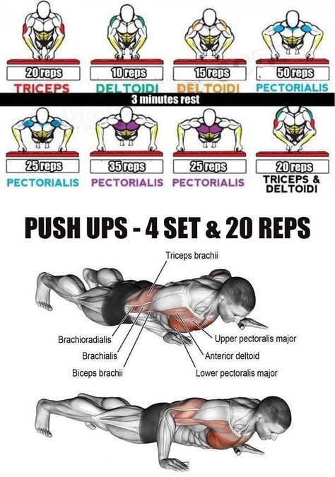 Exercise For Chest, Workouts Chest, Deltoid Muscle, Weight Lifting Routine, Biceps Brachii, Chest Bench, Pectoral Muscles, Dumbbell Press, Muscle Abdominal