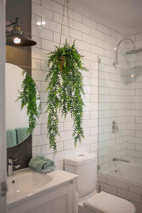 13 Bathroom Decor Ideas Colorful Decor With Plants Mistakes To Avoid | Home Decor Tips Tropical Themed Bathroom, Houseplant Aesthetic, Indoor Plants Bathroom, Tropical Bathroom Decor, Decoration With Plants, Bathroom Plant, Bathroom Plants Decor, Best Bathroom Plants, Dark Green Bathrooms