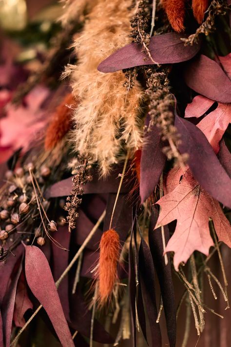 Dried Autumnal Embrace Wreath | Terrain Anthropologie Fall Decor, Tis Autumn, Chic Fall Decor, Willow Eucalyptus, Anthropologie Fall, Broom Corn, Holiday Centers, Fall House, Chic Halloween