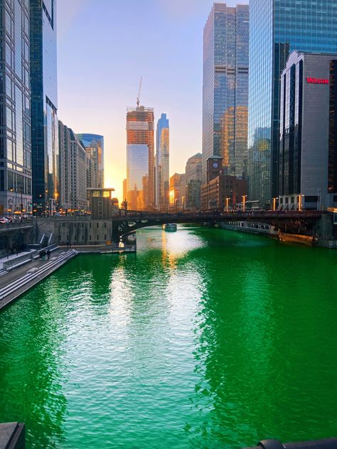 The green river in Chicago on St. Patrick’s Day. Chicago River Green, Chicago St Pattys Day, Chicago Green River, River North Chicago, Day In Chicago, Chicago Aesthetic, North Chicago, Irish Eyes Are Smiling, Beautiful Scenery Photography