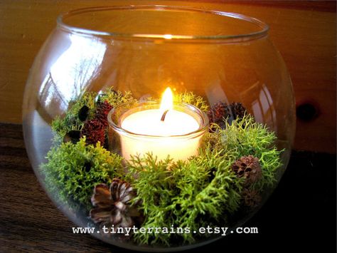 Terrarium With Candles, Lichen Terrarium, Moss Candle, Dinner Centerpieces, Christmas Flower Decorations, Backyard Wedding Ceremony, Fantasy Party, Clay Christmas Decorations, Christmas Wallpaper Backgrounds