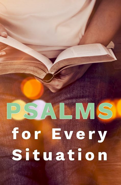 Psalms Bible Study, Psalm 109, Psalm 15, Psalm 35, Psalm 17, Psalm 29, Psalm 83, Psalm 68, Psalm 143