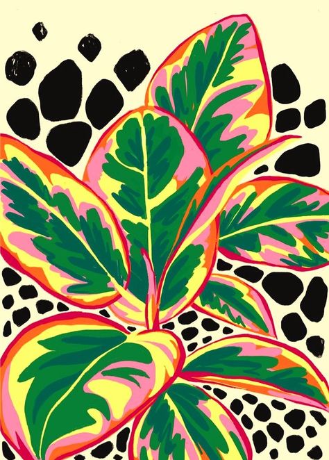 Leave Drawing, Botanic Prints, Bright Art Prints, Colourful Plants, Plants Drawing, Colourful Leaves, Plant Prints, Bright Prints, Rubber Plant