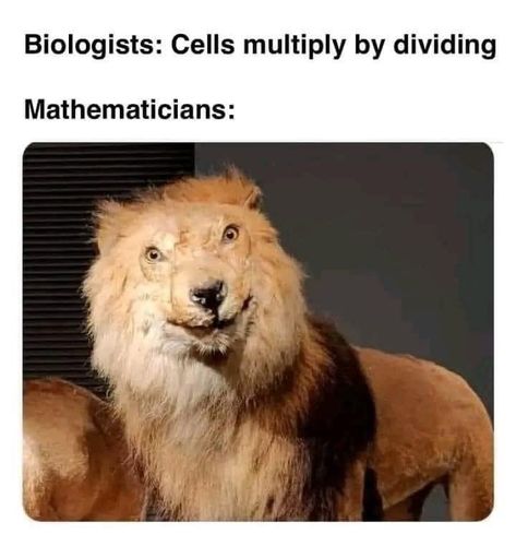 Biology Jokes, Biology Memes, Naruto Meme, Nerdy Humor, Studying Memes, Nerd Jokes, Meme Maker, Funny Science Jokes, Science Jokes