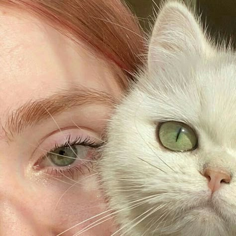 Beautiful Eyes Color, Lily Evans, Aesthetic Eyes, Cat Aesthetic, Pretty Eyes, Eye Art, Pretty Cats, Cute Selfie Ideas, Green Aesthetic