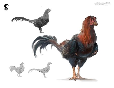 ArtStation - Dr. Horner's Dinochicken, Raph Herrera Lomotan Every Dog Breed, Creature Artwork, Paleo Art, Monster Concept Art, Dinosaur Art, Prehistoric Creatures, Fantasy Creatures Art, Prehistoric Animals, Creature Concept Art