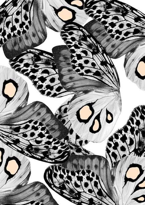 the IMPRINT project / Series # 04 on Behance Whats Wallpaper, Fotografi Iphone, Animal Print Wallpaper, Textile Pattern Design, Animal Prints Pattern, Jolie Photo, Butterfly Wallpaper, Print Wallpaper, Butterfly Pattern