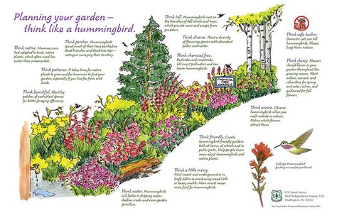 Posters : Nancy Seiler Pollinator Garden Design, Bee Friendly Garden, Habitat Garden, Pollinator Plants, Native Plant Gardening, Hummingbird Garden, Bee Garden, Bee Friendly, Big Plants