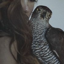 Art Prints by Marta Bevacqua - INPRNT Philippa Eilhart, House Arryn, Marta Bevacqua, Wood Elves, Moth Art, His Dark Materials, Crystal River, Pretty Princess, Three Rivers