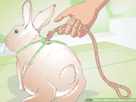 Rabbit On Leash, Bunny Harness Diy, Rabbit Harness Diy, Diy Pig Harness, Rabbit Leash, Rabbit Harness, Pig Harness, Bunny Harness, Small Dog Harness