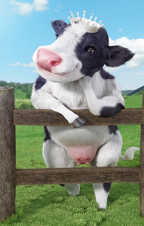 Small Animals, Cow, Cool Animals, Cow Cute, Cute Small Animals, Baby Cow, Cute Cow, Baby Cows, So Funny