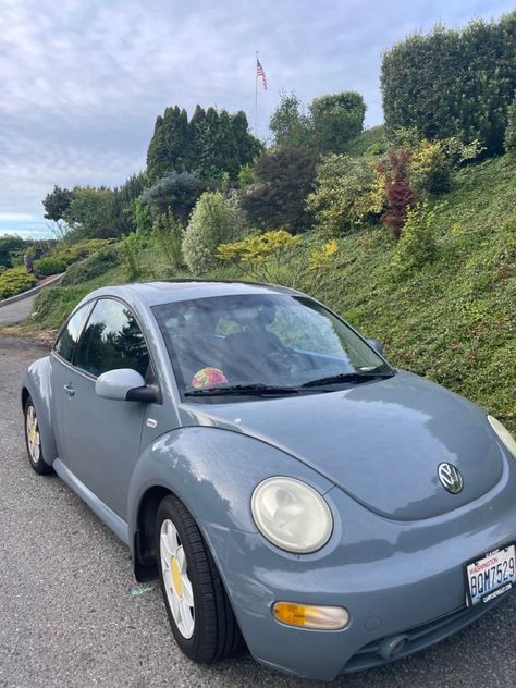 Punchbuggy Aesthetic, Beetle Bug Car Aesthetic, Buggy Car Aesthetic, Aesthetic Volkswagen Beetle, Light Pink Volkswagen Beetle, Volts Wagon Beetle Aesthetic, Cute Affordable Cars, Cute Car Exterior, Bettle Volkswagen Aesthetic