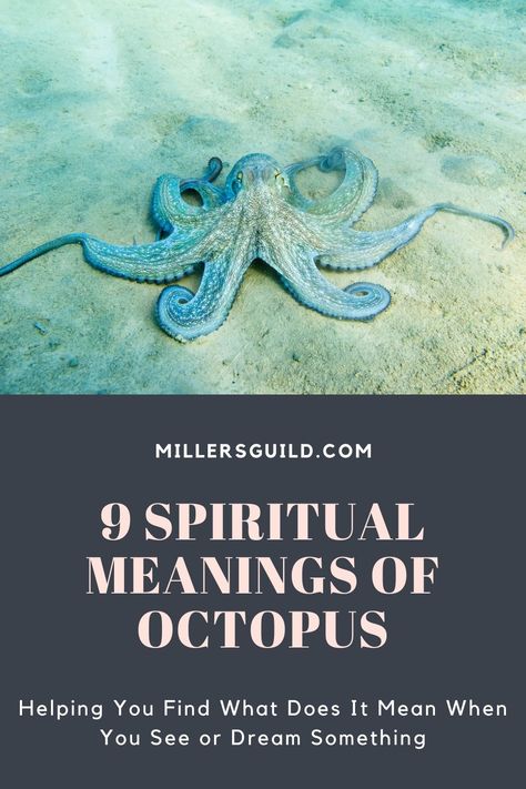 9 Spiritual Meanings of Octopus Octopus Love Quotes, Octopus Meaning, Octopus Quotes, Animals Symbolism, Cute Octopus Tattoo, Ocean Life Tattoos, Octopus Photography, Octopus Facts, Seahorse Painting