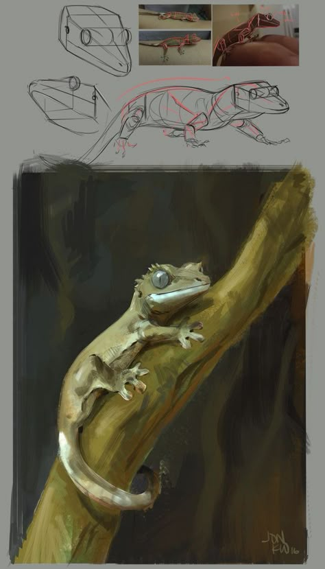 Crested Gecko Reference, Lizard Anatomy Drawing, Crested Gecko Art, Gecko Reference, Crested Gecko Drawing, Gecko Drawing, Lizard Drawing, Gecko Art, Lizard Art