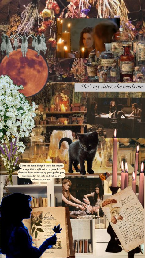 Practical Magic Lockscreen, Practical Magic Collage, Practical Magic Iphone Wallpaper, Practical Magic Phone Wallpaper, Practical Magic Aesthetic, Amas Veritas, Witchy Autumn, Magic Aesthetic, Season Of The Witch