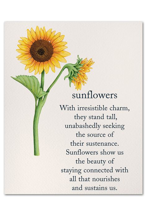 Sunflowers | Birthday Card | cardthartic.com Sunflower Meaning, Flowers Meanings, Sunflowers Birthday, Meaning Of Sunflower, Flower Poem, Flower Dictionary, Flower Guide, Flower Meanings, Flower Names