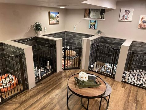 Dog Bedroom Ideas, Dog Boarding Kennels, Dog Room Decor, Countertops Diy, Dog Bedroom, Kitchen Concrete, Concrete Countertops Outdoor, Countertops Concrete, Puppy Room