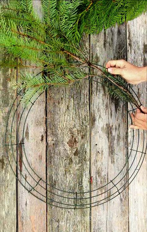 Christmas Wreaths Diy Evergreen, Real Christmas Wreaths, Door Decor Ideas, Homemade Christmas Wreaths, Crafts Winter, Natural Christmas Wreaths, Fresh Christmas Wreath, Cedar Wreath, Winter Wreath Diy