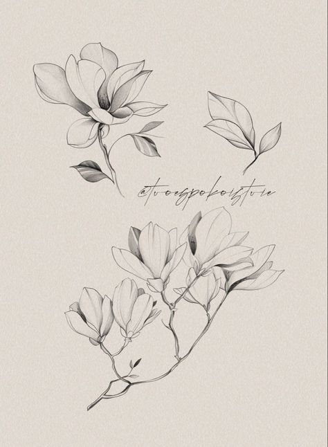 Mongolia Flower Tattoo, Magnolia Tattoo Design, Magnolia Tattoo, Tattoo Floral, Tattoo Shading, Flower Tattoo Drawings, Special Tattoos, Botanical Tattoo, Blossom Tattoo