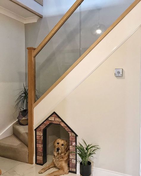 Dog bedroom under stairs | Dog cave Under Stairs Dog House Ideas, Under Stair Doghouse, Dog Bedroom Under Stairs, Hall Floor Tiles, Dog Bedroom Ideas, Stair Cupboard, Ideas Under Stairs, Dog Bedroom Decor, Bed Under Stairs