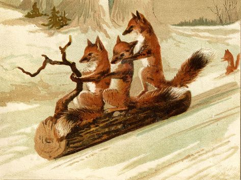 Vintage Image - Foxes Sledding on Log - The Graphics Fairy Sled Pictures, Christmas Pictures Vintage, Christmas Tree Images, Stadium Blanket, Holiday Graphics, Vintage Fox, Vintage Christmas Images, Merry Christmas Images, Graphics Fairy