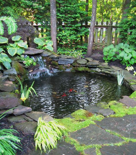 Green House With Pond Inside, Koi Pond With Sitting Area, Ponds With Bridges, Koi Fish Pond House Entrance, Small Pond In Flower Bed, Fish Pond With Bridge, Fish Ponds Backyard, Koi Pond With Stream, Koi Pond Design