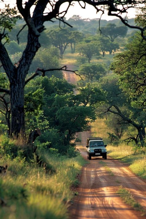 Embark on a Safari in Kruger National Park 🦓✨ Explore the vast wilderness of Kruger National Park in South Africa. Home to an abundance of wildlife, including the Big Five, this park offers thrilling safari experiences. 🌿🐘 #KrugerNationalPark #SouthAfricaTravel #WildlifeSafari #NatureLovers South Africa Nature, South Africa Wildlife, South Africa Photography, Kruger National Park South Africa, South Africa Safari, The Big Five, Africa Wildlife, National Parks Photography, South Africa Travel