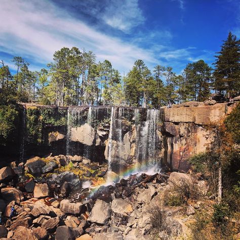 Durango Mexico Aesthetic, Mexico Aesthetic Wallpaper, Mexico Aesthetic, Durango Mexico, Jungle Forest, Aquatic Ecosystem, Marine Ecosystem, Country Landscaping, Mexico Travel