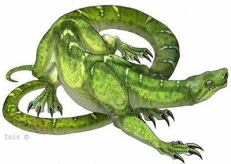 Snake With Legs Drawing, Fantasy Reptile, Snake Creature, Mythical Snake, Rainforest Creatures, Lizard Monster, Royal Python, Emerald Tree Boa, Snake Dragon