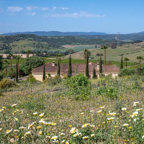 The Farm Life 🐴🐔🐐🐷🐄🐶  What better place than this one to fulfil your dream of finally starting your farm life?   ✨️ The cortijo has large bedrooms and an annex for staff ✨️ There are 17 hectares of land where your animals can enjoy nature ✨️ You live in a quiet and rural area where you get to unwind ✨️ You have plentiful space to  grow fruit and vegetables on your land ✨️ There are nearby towns to have breakfast, lunch and diner Gibraltar Airport, Cosy Fireplace, Equestrian Estate, Equestrian Facilities, Over The Hill, Equestrian Lifestyle, Green Lawn, Rural Area, Cadiz