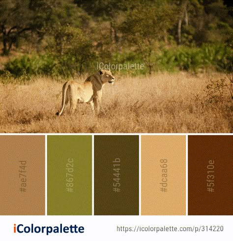 Color Palette Ideas from Wildlife Grassland Ecosystem Image Safari Colors Palette, Safari Theme Color Palette, Safari Wedding Color Palette, African Colour Palette Color Inspiration, Animal Print Color Palette, Animals Color Palette, Wildlife Colour Palette, Savannah Color Palette, Jungle Theme Color Palette