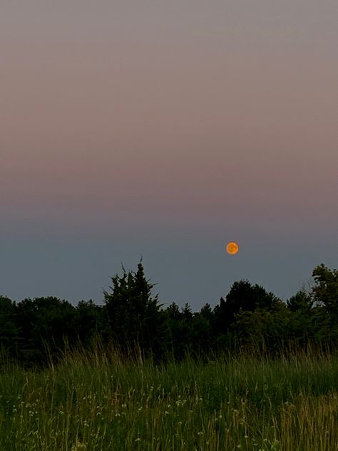 sunset, sky, beautiful, aesthetic, moody, moon, big moon, forest Dusk Aesthetic, Bg Reference, Moon Forest, Moonlit Forest, Summer Moon, Moon Landscape, Amber Moon, Dusk Sky, Grass Fields