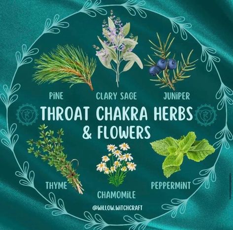 Simmer Kits, Throat Chakra Art, Chakra Herbs, Blocked Throat Chakra, Witch Studying, Herbalism Aesthetic, Studying Ideas, Healing Spell, Throat Chakra Healing