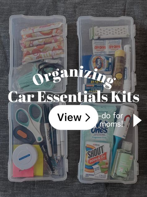 Car Living Organization, Car Survival Kits Diy, Dollar Tree Car Organization Ideas, Car Essentials For Women List, Dollar Tree Car Organization, Car Bag Essentials, Car Kit Essentials, Car Essentials For Women, Car Organisation