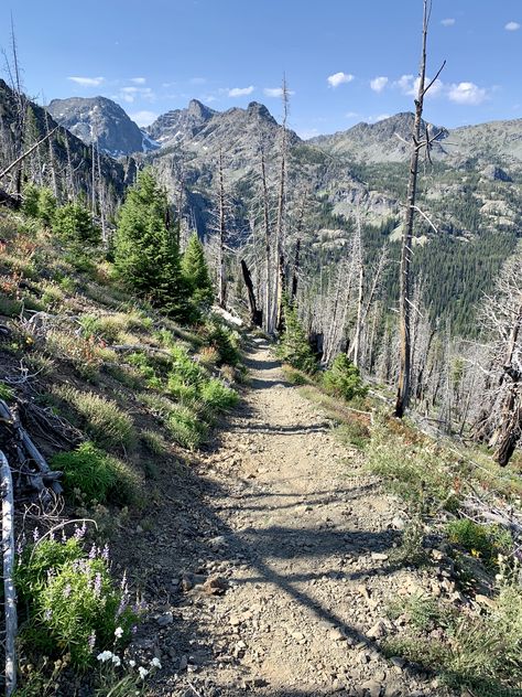 Idaho’s Hells Canyon Wilderness: Seven Devils Backpack – Evans Outdoor Adventures Hells Canyon Idaho, Seven Devils, Snake River Canyon, Idaho Travel, Deep River, Forest Road, Alpine Lake, Summer Trip, Backpacking Travel