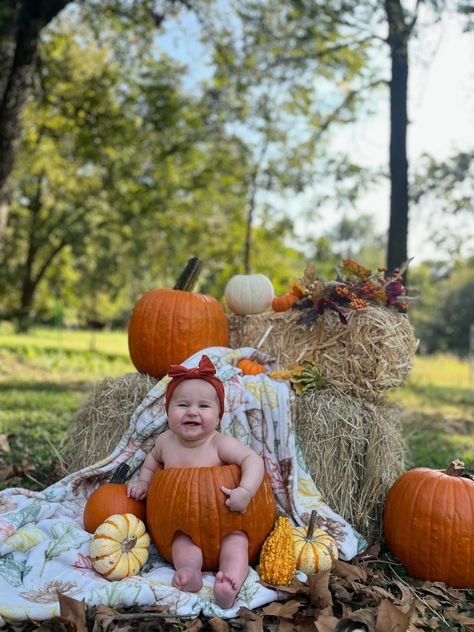 6 Month October Photoshoot, 4 Months Fall Pictures, 6 Month Fall Photoshoot, Fall Baby Photoshoot 6 Months, Fall Themed Baby Photoshoot, Pumpkin Baby Pictures, Themed Baby Photoshoot, Pictures For Babies, Fall Themed 6 Month Pictures