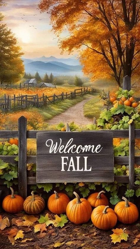 Fall And Pumpkins, Cute Fall Pictures Backgrounds, Beautiful Fall Wallpapers, Forest In Autumn, Welcome Fall Images, Fall Images Wallpaper, Autumn Scenes Country Life, Fall Theme Wallpaper Iphone, Fall Scenery Wallpaper