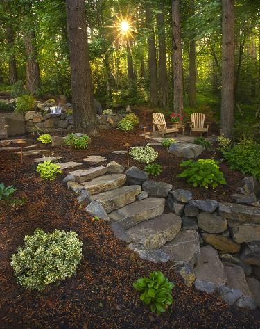 Enchanted Gardens - Gallery Landscaping Center Of Circle Drive, Woodsy Patio Ideas, Cabin In The Woods Landscaping Ideas, Backyard Rocks, Forest Landscaping, Grass Alternatives, Wooded Backyard Landscape, Wooded Backyard, Landscape Luxury