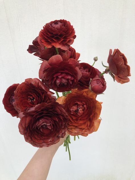 Rust Ranunculus, Burgundy Wedding Ceremony, Greenery Wedding Ceremony, Wedding Golden Hour, Wedding Copper, Garden Inspired Wedding, Wedding Greenery, Wedding Outdoor, Colorful Wedding