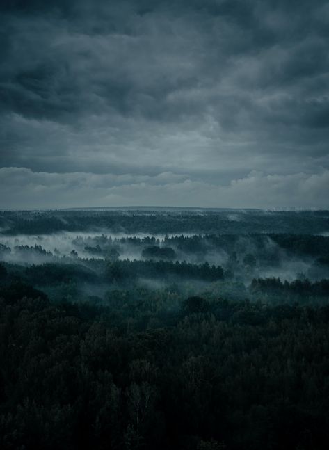 green grass field near sea under gray clouds photo – Free Grey Image on Unsplash 3d Wallpaper Iphone Dark, Grey Scenery, Iphone Wallpaper Nasa, Cool Wallpapers For Your Phone, Gray Clouds, 3d Wallpaper Iphone, Nature Iphone Wallpaper, Foggy Forest, Wallpapers For Iphone