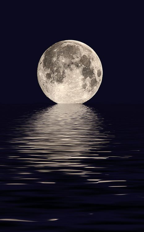 Blood Moon Lunar Eclipse, Moon On The Water, Next 6 Months, Moonlight Photography, Afrique Art, Shoot The Moon, Luna Moon, Moon Wallpaper, Beautiful Skies