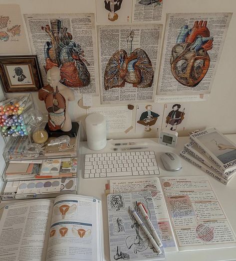 Studying Aesthetic Medical, Study Room Medical Student, Medical Studying Aesthetic, Doctor Moodboard Aesthetic, Dark Academia Aesthetic Medicine, Medical Desk Decor, Internal Medicine Doctor Aesthetic, Pulmonologist Aesthetic, Medical Room Decor