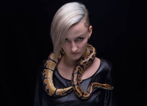 797 Snake Around Neck Stock Photos, Pictures & Royalty-Free Images - iStock Snake Around Neck, Dangerous Temptation, Hanged Man, The Hanged Man, Snake Bites, Neon Aesthetic, Royalty Free Images, First Time, The First