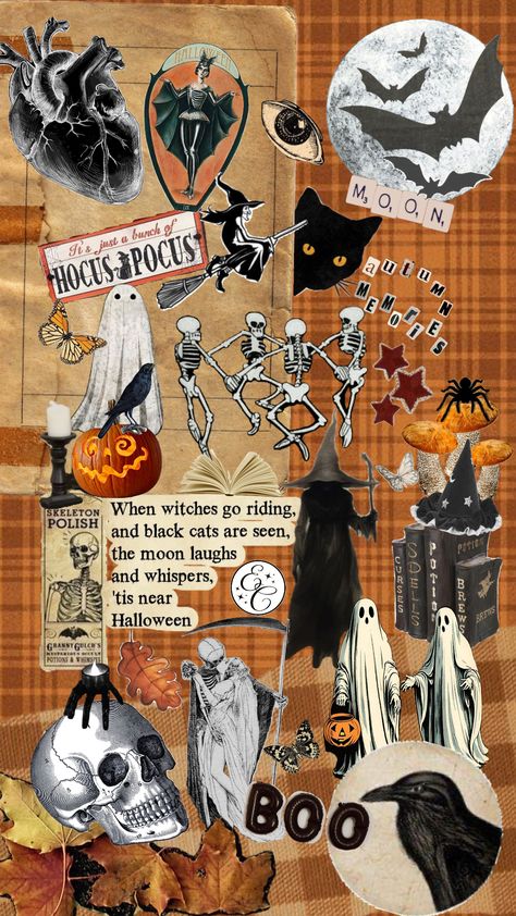 🎃 Elevate your phone with this unique Halloween Spooky Art Collage wallpaper. 👻 #halloween #halloweenaesthetic #halloweencollage #phonewallpaper #spookyseason #fall #fallaesthetic #gothic #skeletons Art Collage Wallpaper, Halloween Brew, Spooky Art, Collage Wallpaper, Wallpaper Halloween, Unique Halloween, Halloween Spooky, Art Collage, Collage Art