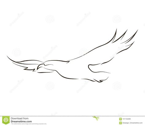 Illustration about Flying black line eagle on white background. Hand drawing vector graphic. Illustration of wild, speed, animal - 101155209 Eagle Simple Tattoo, Simple Bald Eagle Tattoo, Fine Line Animal Drawing, One Line Eagle Tattoo, Simple Eagle Tattoos For Women, Simple Eagle Drawing, Small Eagle Tattoo Woman, Eagle Line Tattoo, Eagle Outline Tattoo