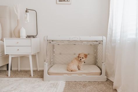 Crate Aesthetic, Decorative Dog Crates, Collapsible Dog Crate, Eclectic Homes, Wooden Dog Crate, Puppy Crate, Dog Crates, Dog Crate Furniture, Puppy Birthday